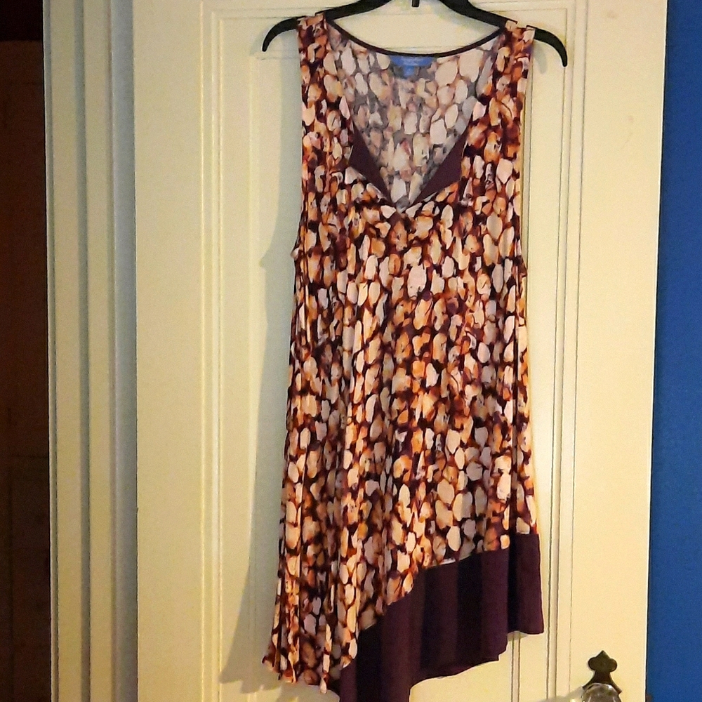 Dress.   Long top